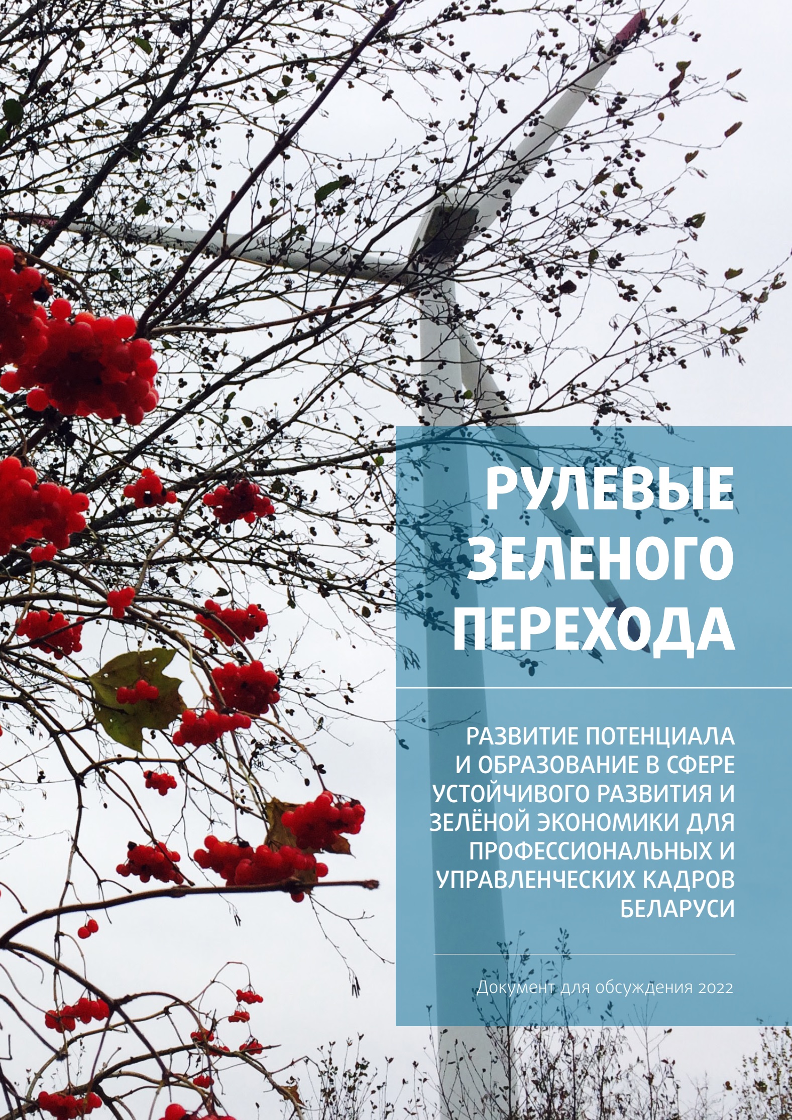 Рулевые зеленого перехода